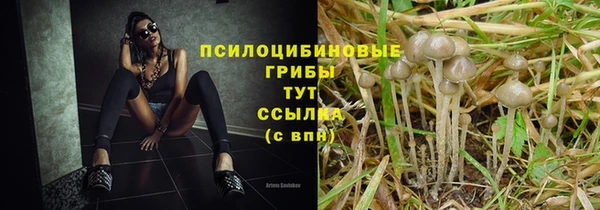 гашишное масло Алексеевка