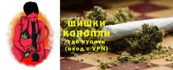 apvp Алзамай