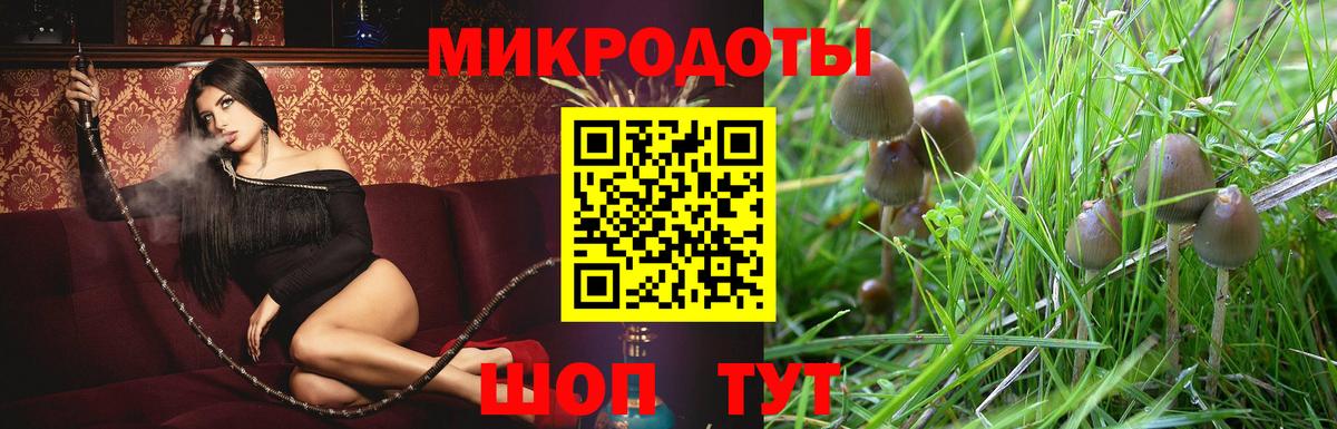 Псилоцибиновые грибы прущие грибы  Вход с VPN  купить   Лесной  Галлюциногенные грибы Magic Shrooms 
