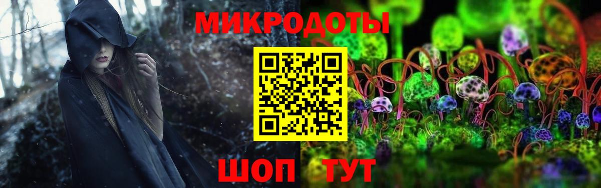 Псилоцибиновые грибы GOLDEN TEACHER Лесной